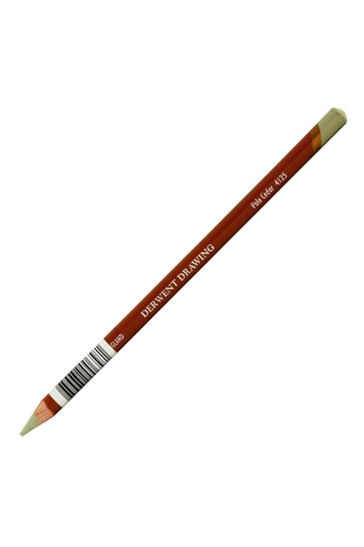 DRAWİNG PALE CEDAR (4125)