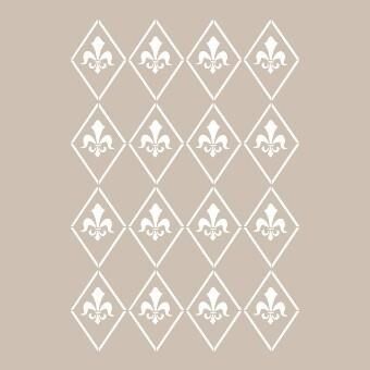 A4 SERİSİ STENCIL AS517 21X29