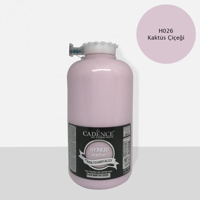 H-026 KAKTÜS ÇİÇEĞİ 2 LİTRE MULTISURFACE HYBRID AKR.